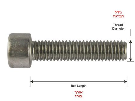 אלן עם ראש נירוסטה